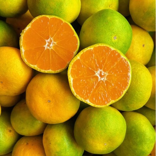 宜昌现采现摘早熟蜜橘新鲜橘子当季水果老少皆宜水果包邮发货