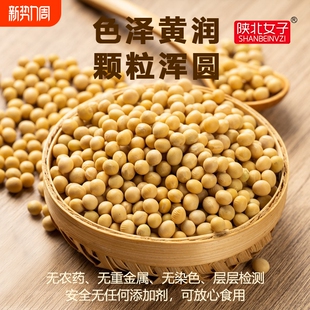 黄豆新货大豆农家自种粗粮豆浆豆芽5斤颗粒大高蛋白豆子原味豆类