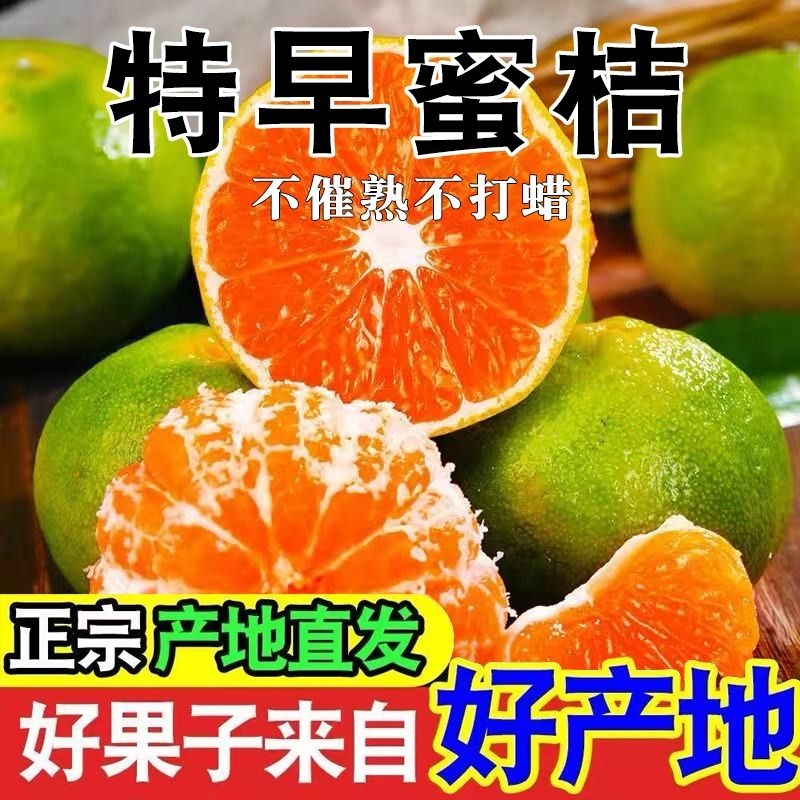 无籽蜜橘5斤孕妇新鲜水果当季橘子柑橘桔子蜜桔整箱皮清香现摘