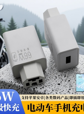 电动车手机充电器66W闪充快充usb转换器插头48v60v72伏100V通用款