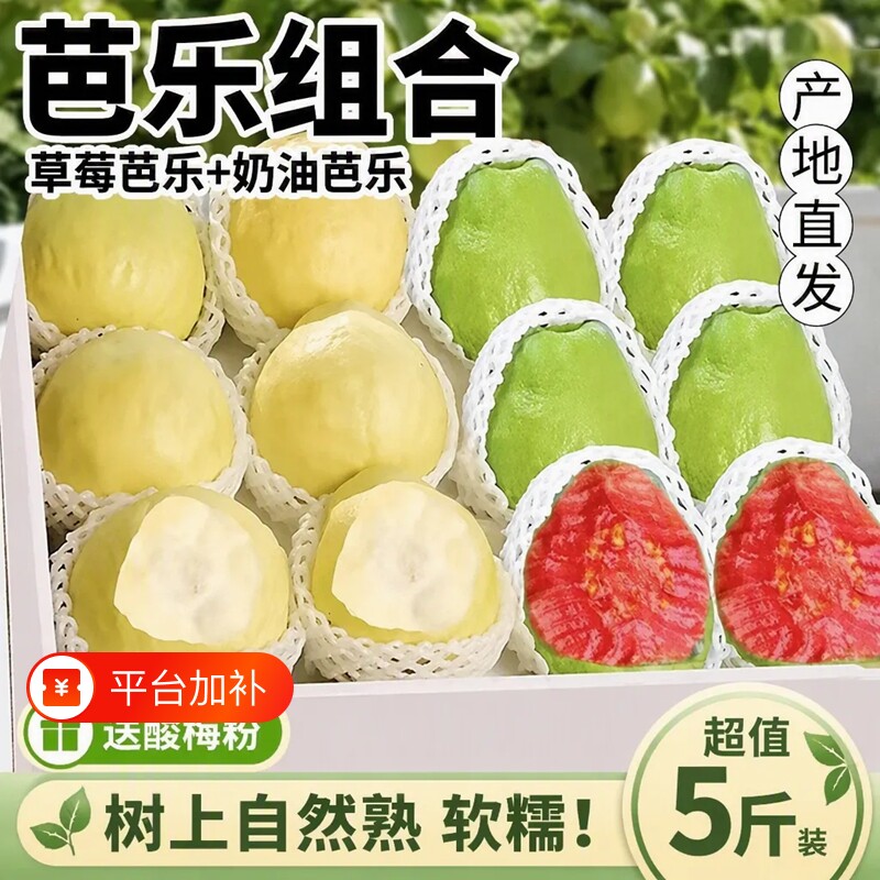 广西白心红心冰淇淋双拼芭乐软心软糯新鲜现摘奶油番石榴单果135g