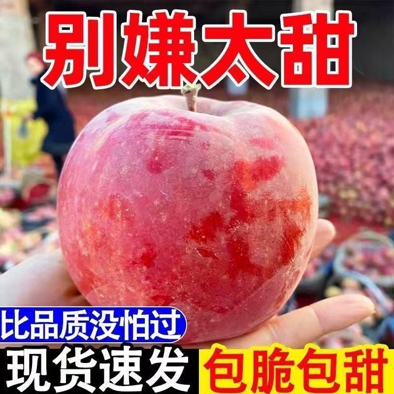 25年现摘】脆甜丑苹果正宗高山红富士新鲜苹果果冰糖心一整箱批发