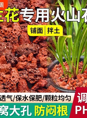 火山石养花专用蝴蝶兰花小颗粒多肉铺面石子鱼缸造景底部石头苔藓
