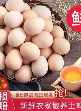 【45-55g/枚】农家正宗散养土鸡蛋新鲜谷物蛋虫草蛋笨鸡蛋柴鸡蛋