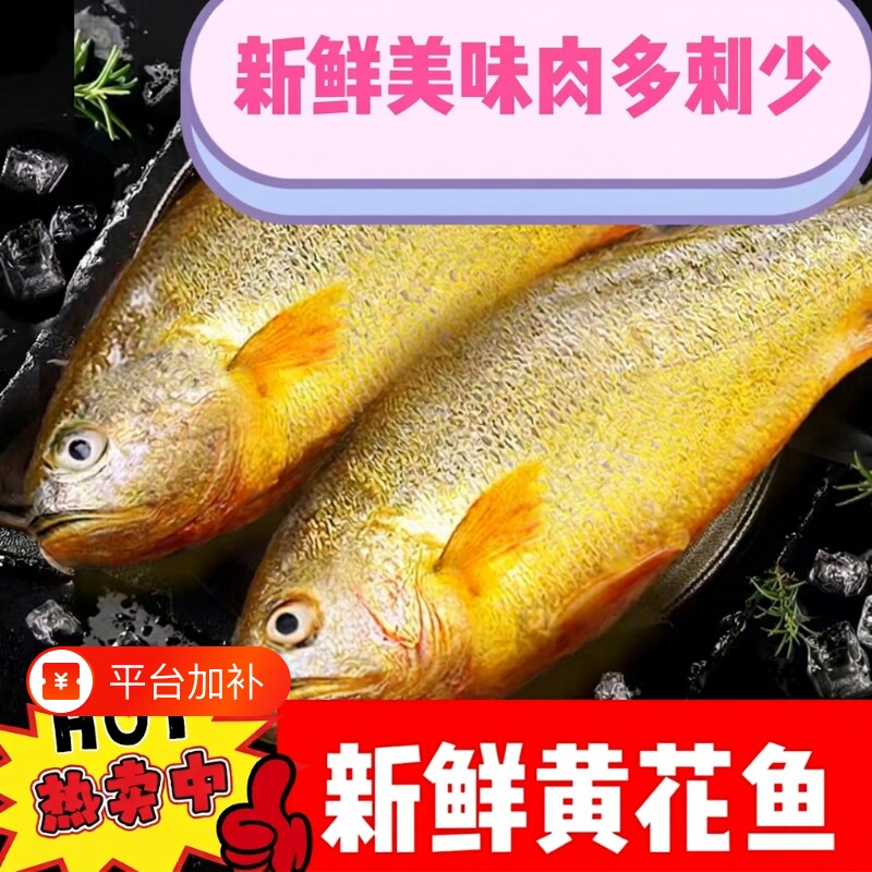 冷冻黄花鱼大黄鱼深海新鲜冰冻海鲜水产批发鱼肉一斤速冻