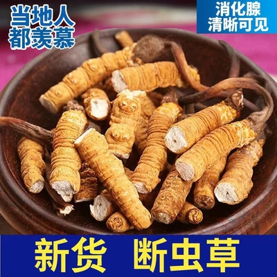 冬虫夏草5克虫草超值虫草干滋补养 选西藏大断草泡酒打粉煲汤