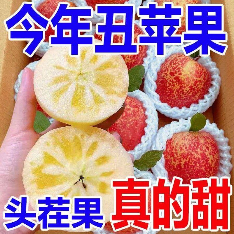 正宗高山冰糖心丑苹果红富士苹果应季当季新鲜水果包邮整箱批发