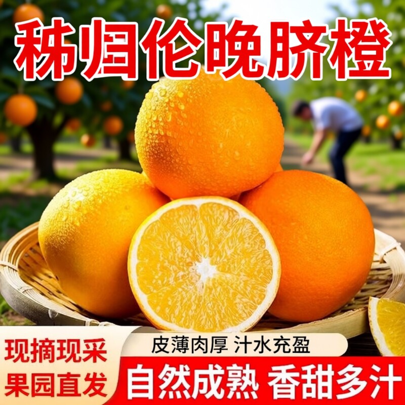 橙子伦晚脐橙湖北秭归新鲜10斤大果甜春橙手剥橙整箱当季水果现摘