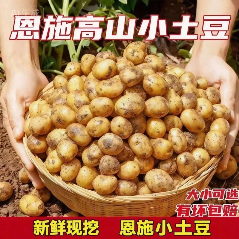 恩施现挖土豆黄心小土豆批发新鲜黄皮正宗农家迷你马铃薯洋芋蔬菜,水产肉类/新鲜蔬果/熟食,土豆,淘宝优惠券,粉丝福利购,淘宝优惠卷