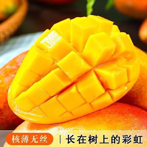 正宗海南贵妃芒新鲜热带水果特产当季整箱树上熟现摘三亚芒果包邮