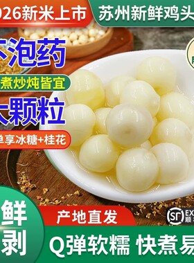 苏州特产芡实正宗太湖大颗粒大果