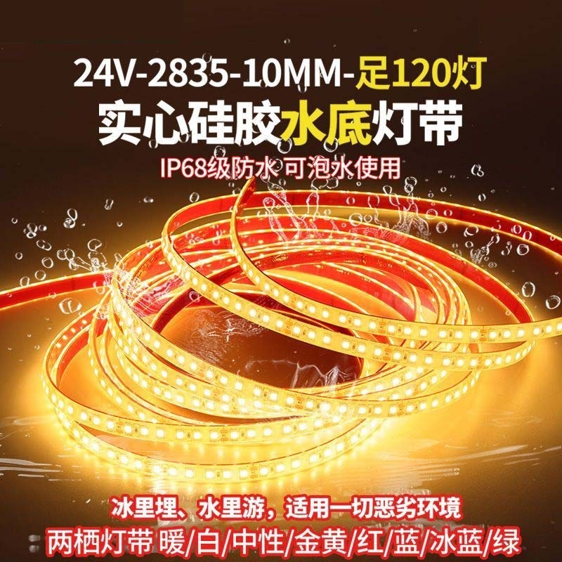 24V泡水LED灯带户外防水防晒图片