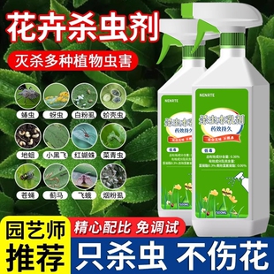 花卉杀虫剂植物室内小黑飞蚜虫蚧壳虫多肉月季绿植专用蜘蛛杀虫药