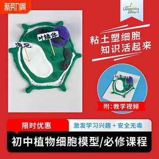 植物细胞模型制作材料初中生物手工DIY材料包真核动物高中