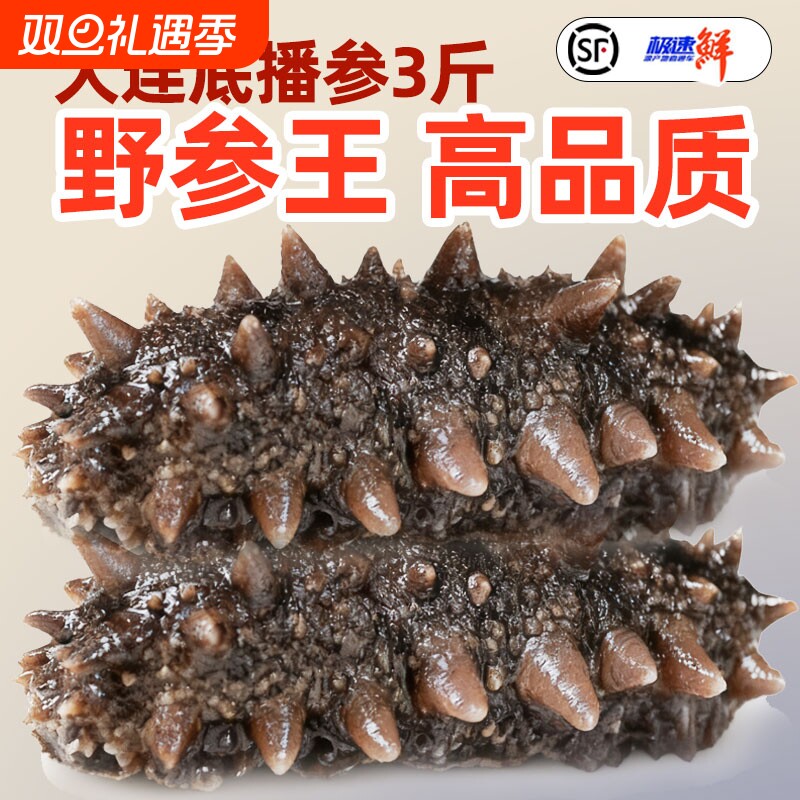 鲜蒸即食海参3斤大连深海捕捞非淡干高营养特Q弹大个头水产冷冻
