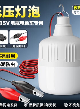 低压led灯泡12v24v36v48伏夜市地摊照明球泡灯直流工地机床工作灯
