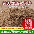 天然河沙砂沙子种植鱼缸粗沙细沙黄沙黄砂营养土建筑沙土土壤乌龟