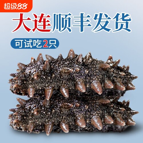 海参即食包装袋一斤正品官方旗舰店大连顺丰独立辽刺参冷冻水产