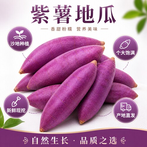 沙地紫薯新鲜地瓜紫心蜜薯现挖农家自种紫罗兰粉糯自提各地软糯
