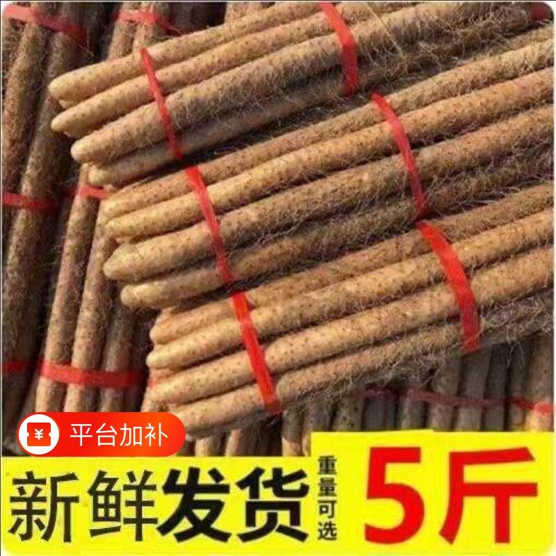 正宗河南焦作温县垆土铁棍山药新鲜现挖粉糯怀淮山生铁杆包邮甘甜