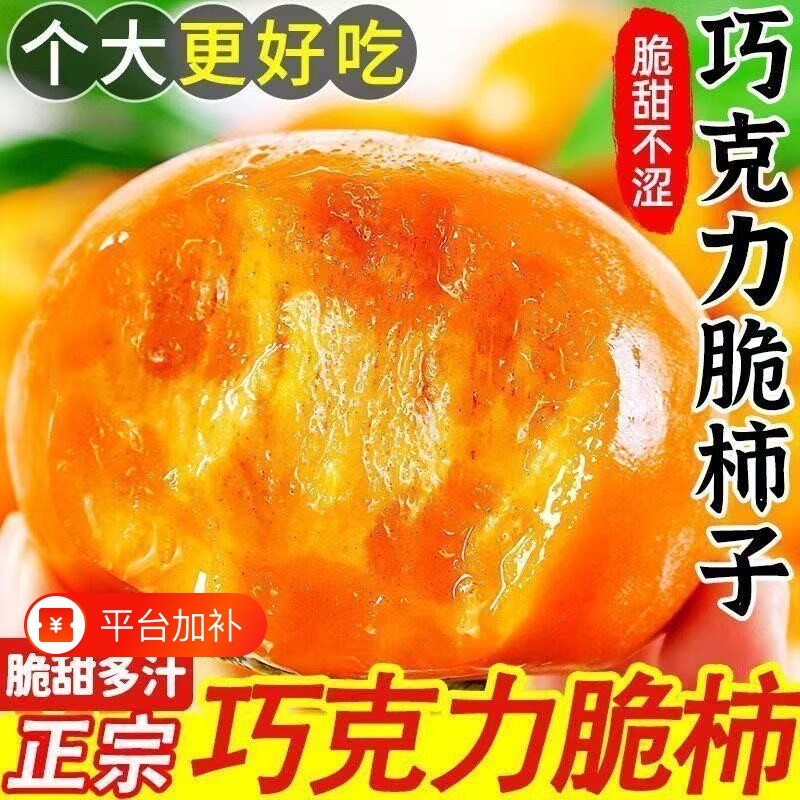 正宗阳丰脆柿子大果新鲜应季水果巧克力脆甜柿子硬柿子当季水果