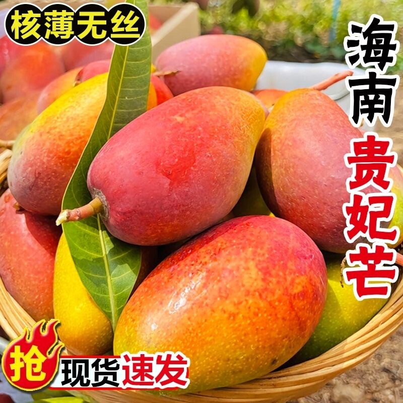 彩箱正宗海南贵妃芒果应季红金龙新鲜孕妇薄皮水果当季包邮