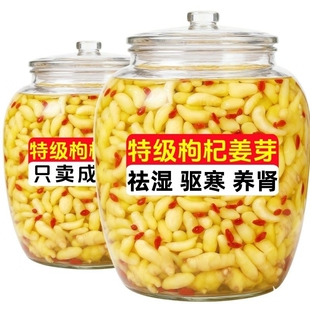 太便宜】淄博枸杞泡姜芽泡菜新鲜嫩姜芽爽口酸甜醋泡生姜片腌制..