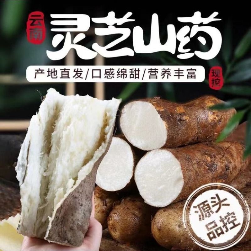 新鲜山药高营养又粉糯