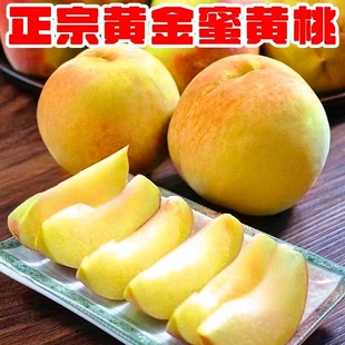 头茬砀山黄桃水果黄金蜜应季超甜安徽脆桃毛桃雪桃当季现摘水蜜桃