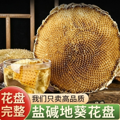盐碱地葵花盘药用中药材正品整个葵花籽盘干新鲜向日葵花盘葵花饼
