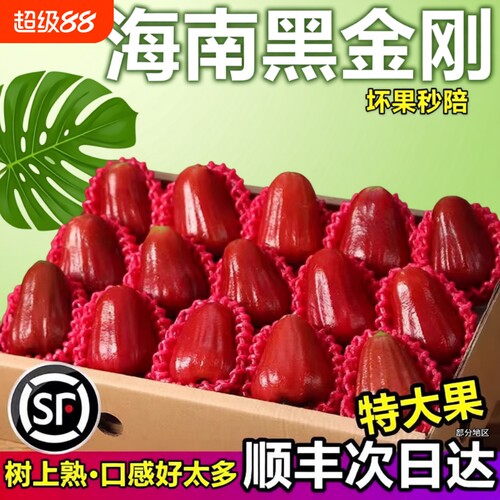 莲雾黑金刚【顺丰京东】特级三亚精品大果脆甜多汁新鲜包邮连雾