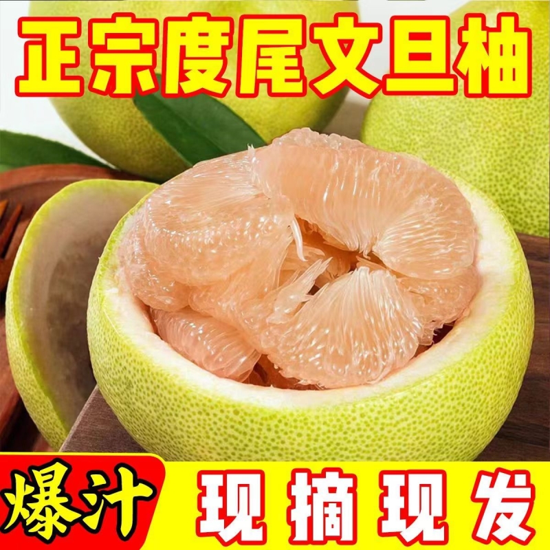 【现买现发】正宗度尾文旦柚当季现摘柚子当季水果应季时令包邮
