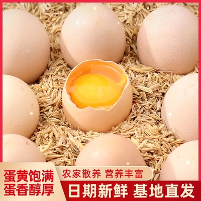 长顺县农家散养土鸡蛋