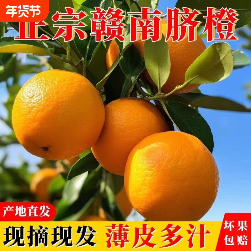 正宗江西赣南脐橙当季新鲜水果带箱10斤/5斤赣州橙子产地直发包邮