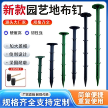 加粗地钉园艺防草布钉固定塑料遮阳网地钉钉塑料大棚