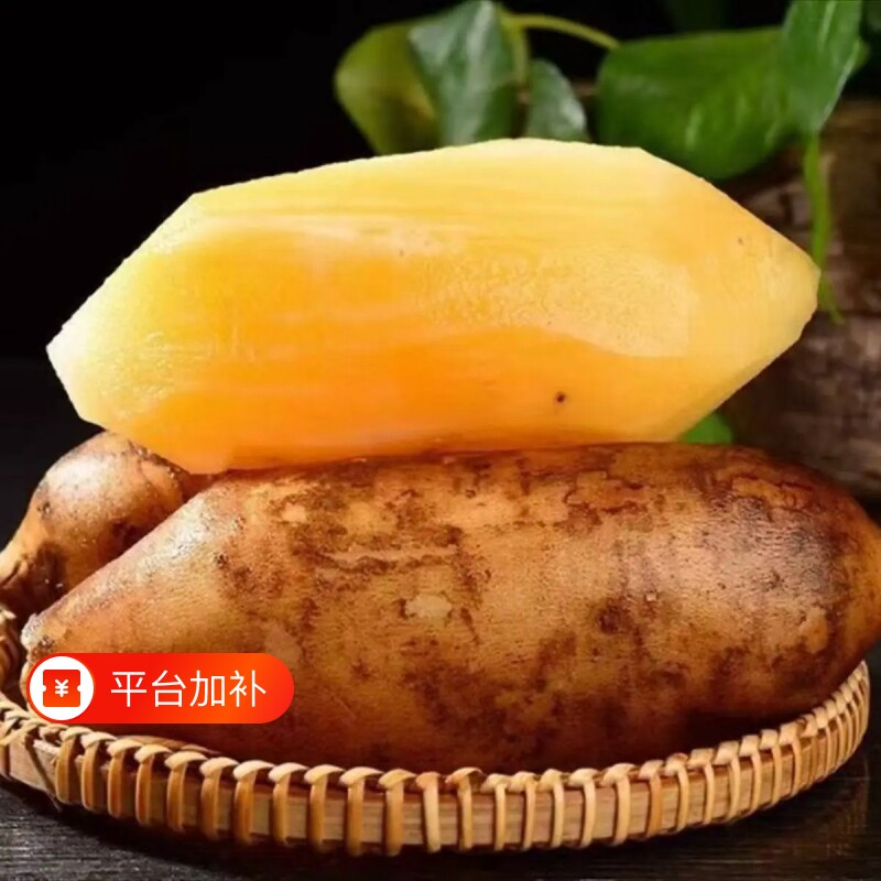 云南天山雪莲果特级红心一级黄心新鲜水果甜当季孕妇现挖整箱9斤
