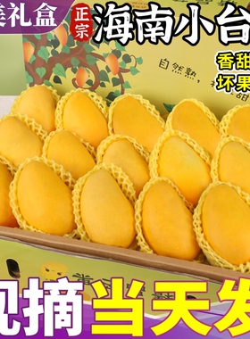 礼盒装正宗海南小台农芒果当季新鲜现摘10斤大果台芒整箱包邮热带
