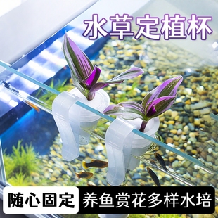 鱼缸水草定植杯卡扣式 水培定植篮水质增氧 造景植物固定架吸盘款