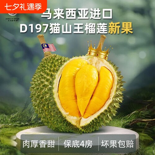彭亨州马来西亚猫山王榴莲d197