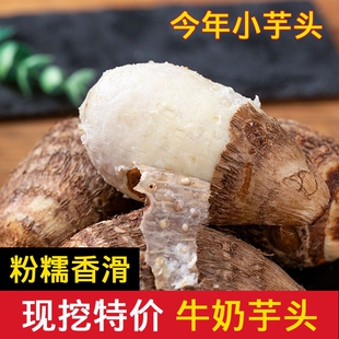 云南牛奶小芋头蔬菜新鲜当季 农家自种毛芋艿香糯新鲜现挖蔬菜批发