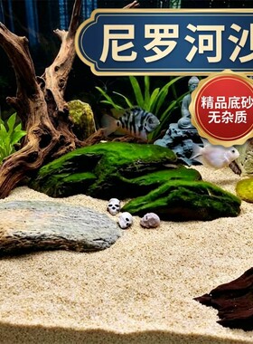 鱼缸造景底部砂石水晶沙河沙雨林沙装饰养鼠鱼专用生态免洗微景观
