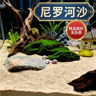 鱼缸造景底部砂石水晶沙河沙雨林沙装饰养鼠鱼专用生态免洗微景观