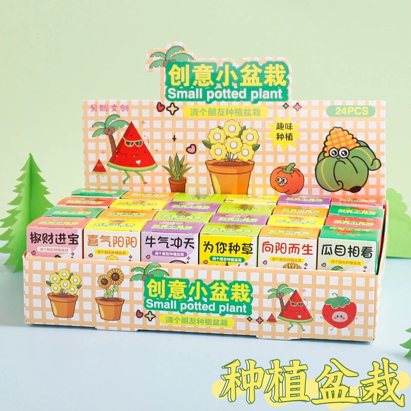 六一小礼品种植盲盒盆栽小学生奖品儿童植物奖励幼儿园迷你盆栽