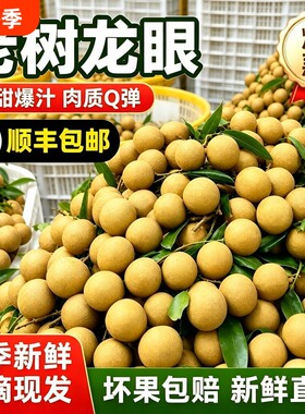 正宗广东老树新鲜龙眼皮薄肉厚甜