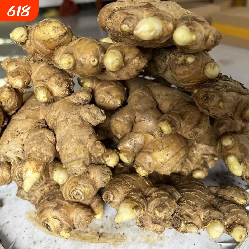 贵州小黄姜生姜老姜嫩姜种植苗带芽姜发芽生姜大姜正宗新鲜新货