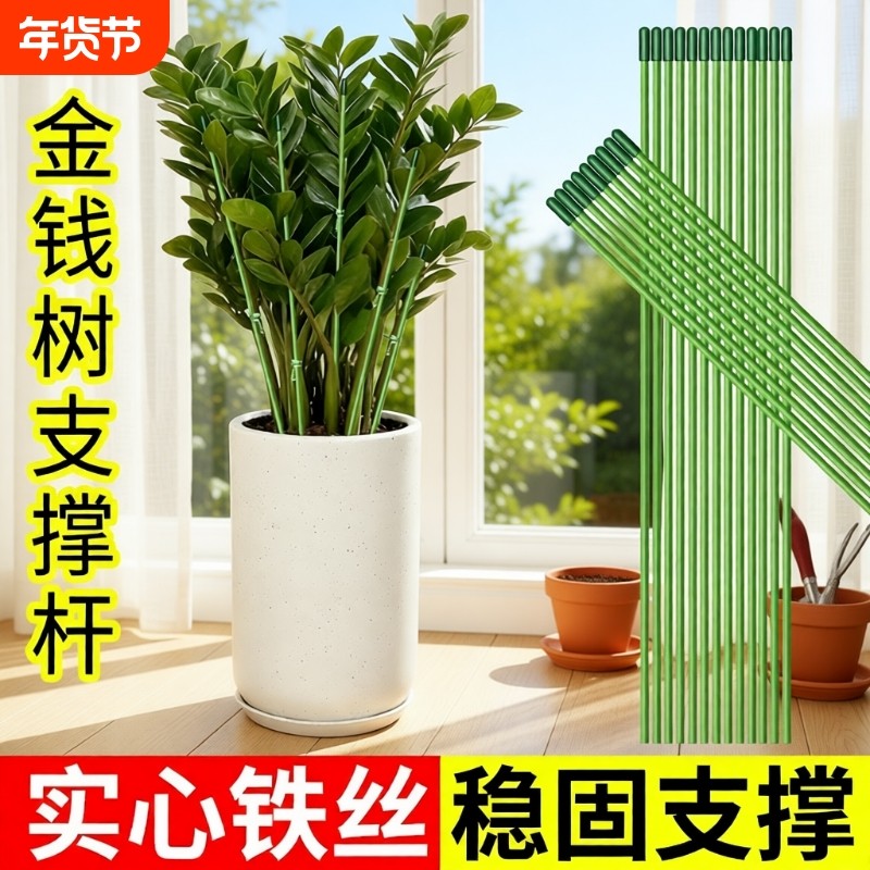 金钱树支撑杆花盆支架杆花卉植物园艺花架爬藤固定杆造型包塑种花
