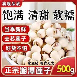官方旗舰店去芯湖南湘潭磨皮白莲子搭银耳百合羹连子 特级莲子正品