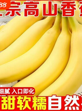 广西高山香蕉9斤当季新鲜水果自然熟大芭蕉小米蕉自提客服在线