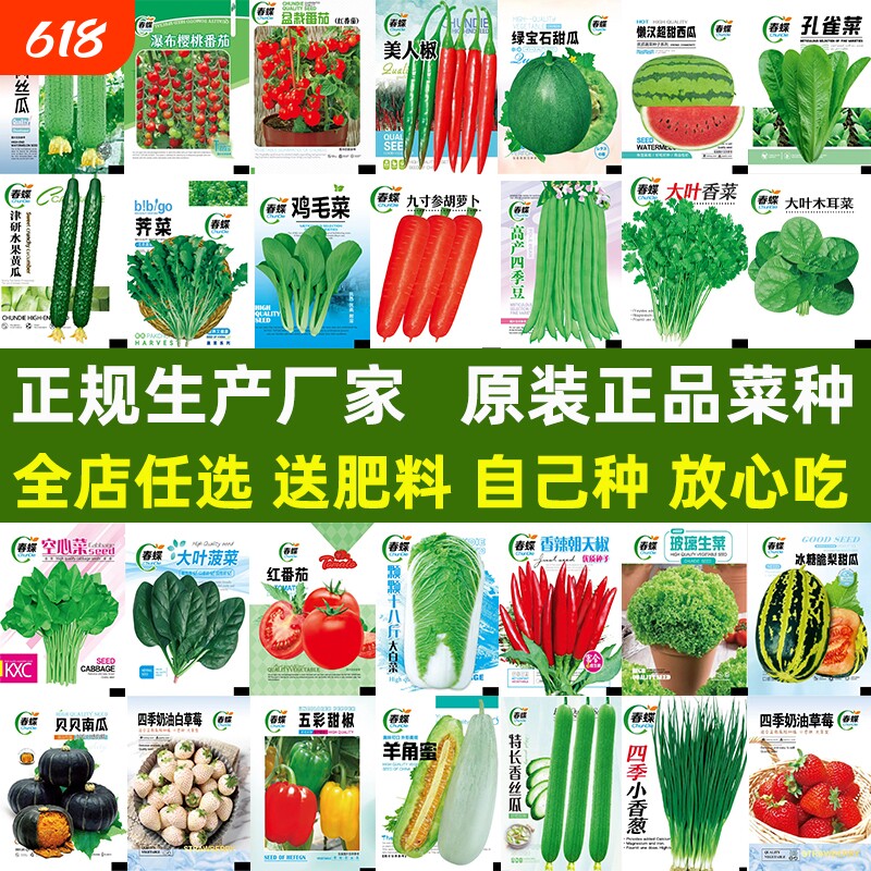 蔬菜种子番茄子辣椒长豇豆角四季豆生菜籽大全丝瓜阳台西瓜种植