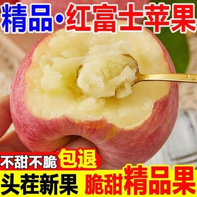 【新鲜采摘】正宗山西运城苹果新鲜水果临猗红富士脆甜薄皮冰糖心